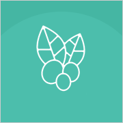 û�ϻ������ǿ����̹���